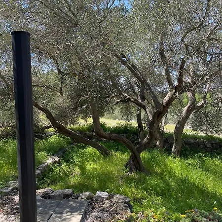 Kuca Za Odmor Ivancica Dom wakacyjny