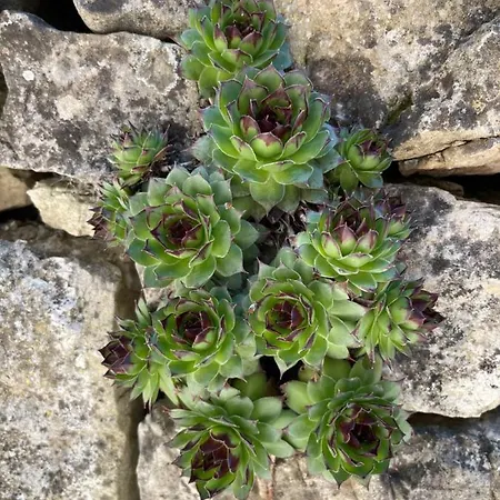 Kuca Za Odmor Ivancica