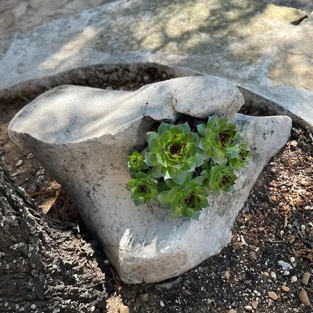 Kuca Za Odmor Ivancica * 迪斯诺