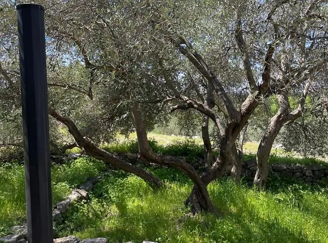 Kuca Za Odmor Ivancica Tatil Evi