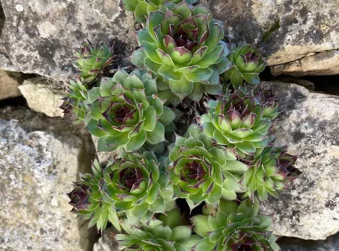 Kuca Za Odmor Ivancica