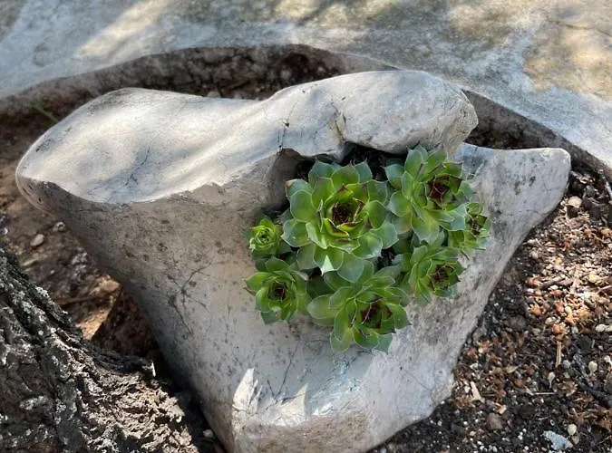 Kuca Za Odmor Ivancica * Tisno