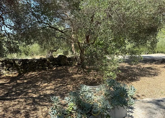 Kuca Za Odmor Ivancica Tatil Evi *